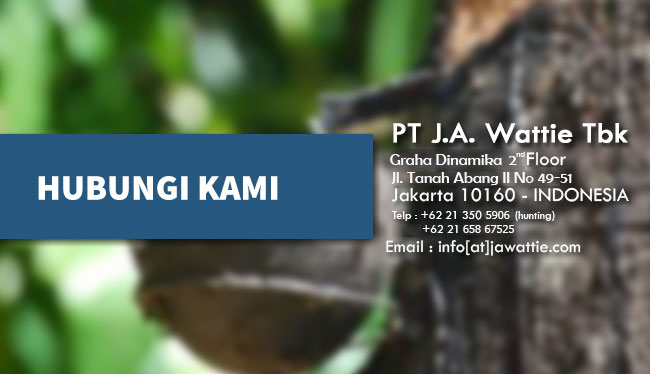 hubungi kami